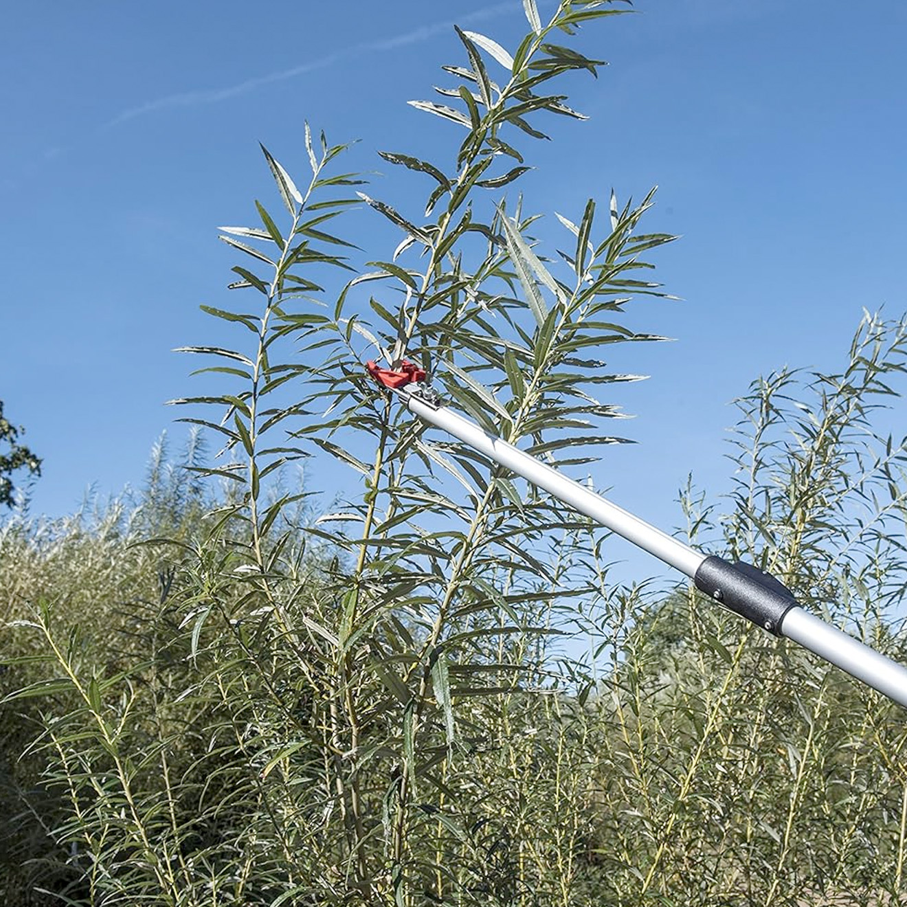 Teleskop Schere für Rosen und Obstbäume Teleskop Schere für Rosen und Obstbäume